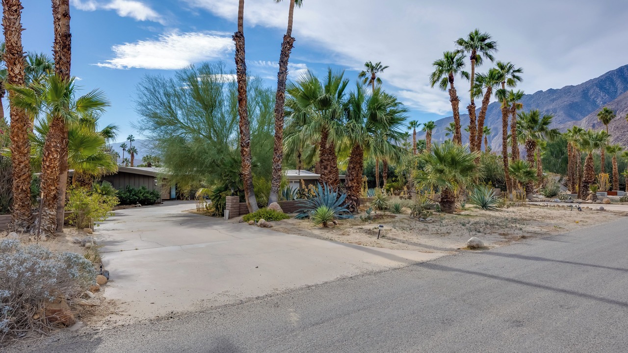 Photo of Outdoor in Borrego Springs
