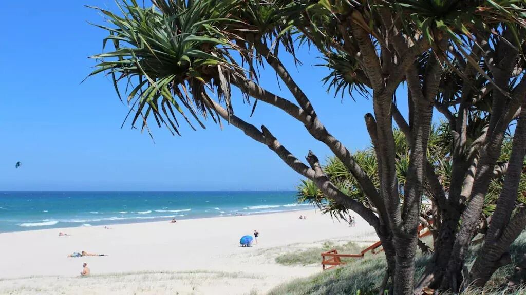 Photo of Others in Mermaid Beach