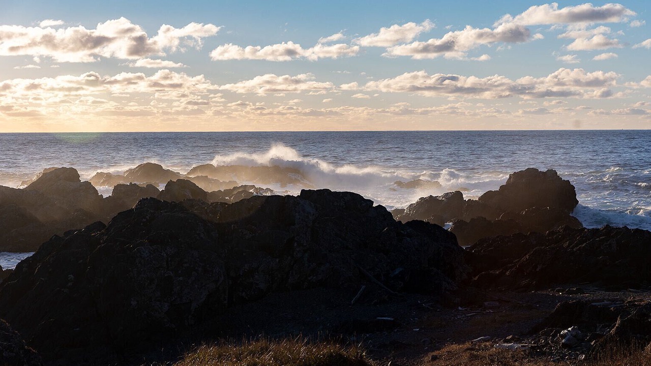 Photo of Others in Ucluelet