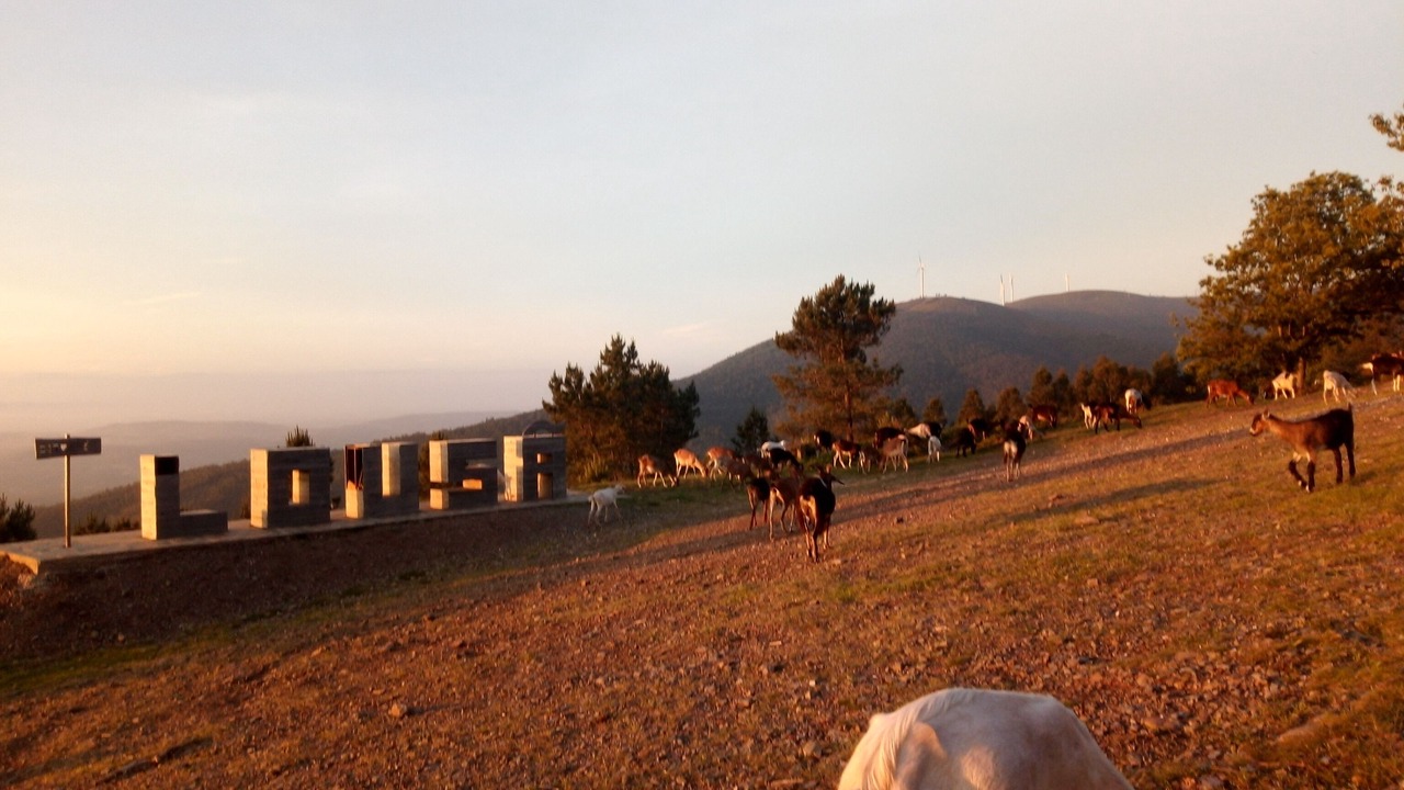 Photo of Outdoor in Lousa