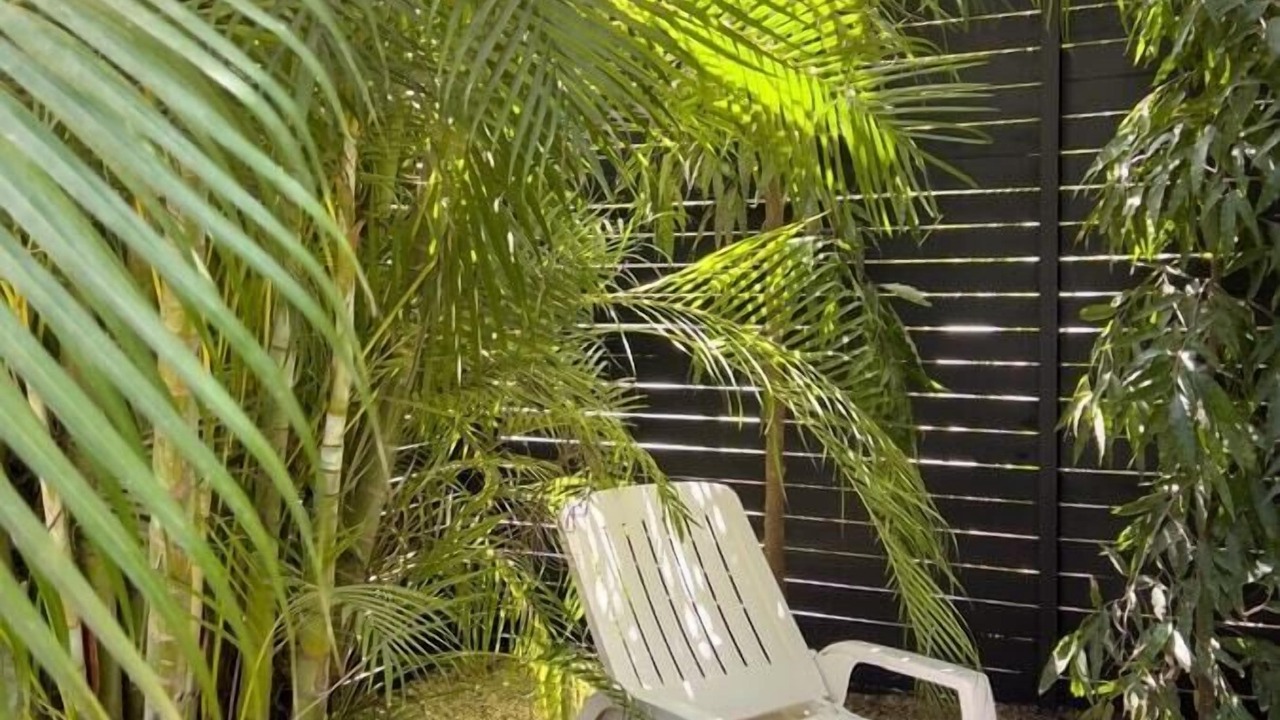 Photo of Outdoor in Nosara