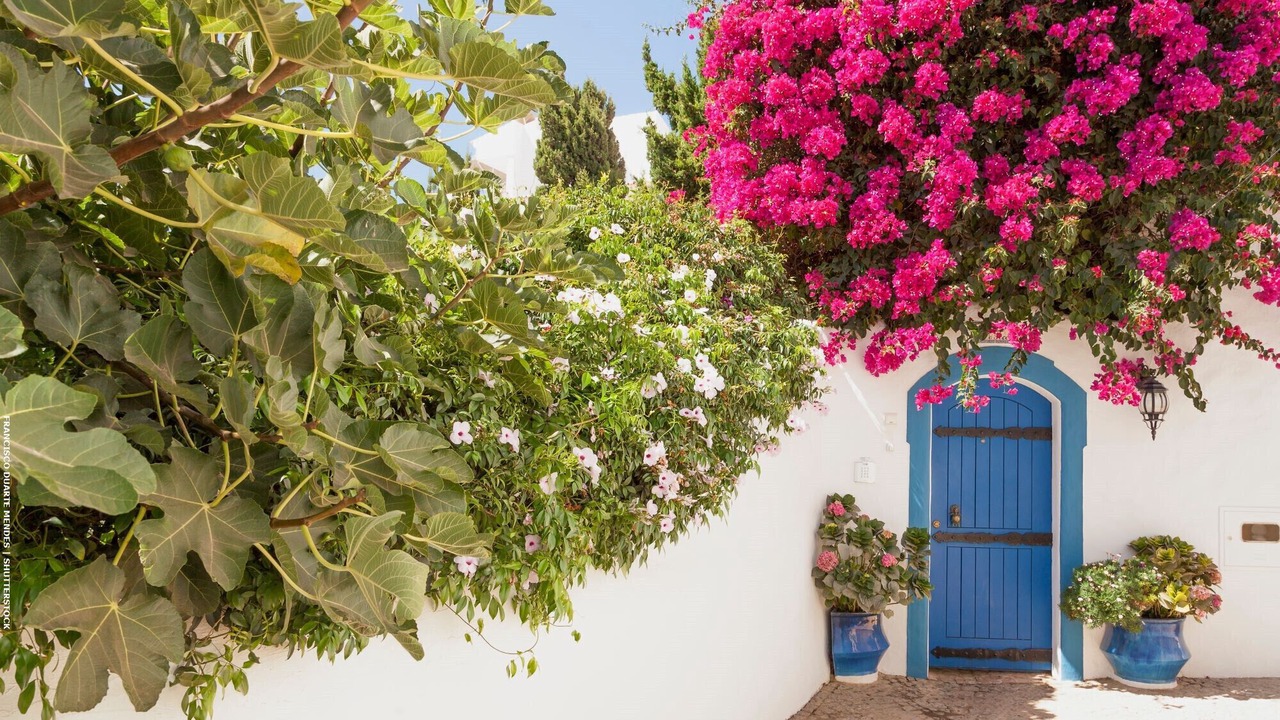 Photo of Outdoor in Estombar