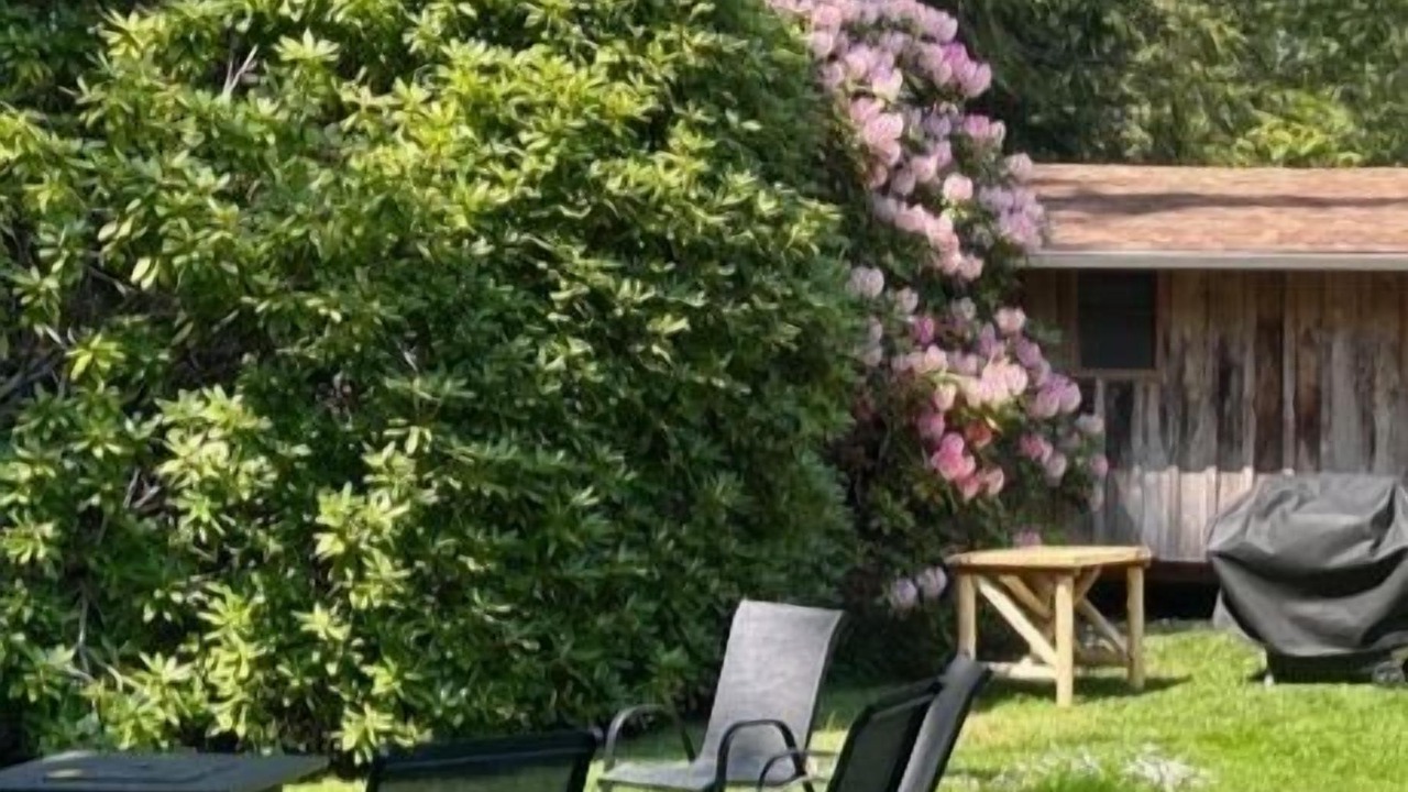 Photo of Outdoor in Tofino