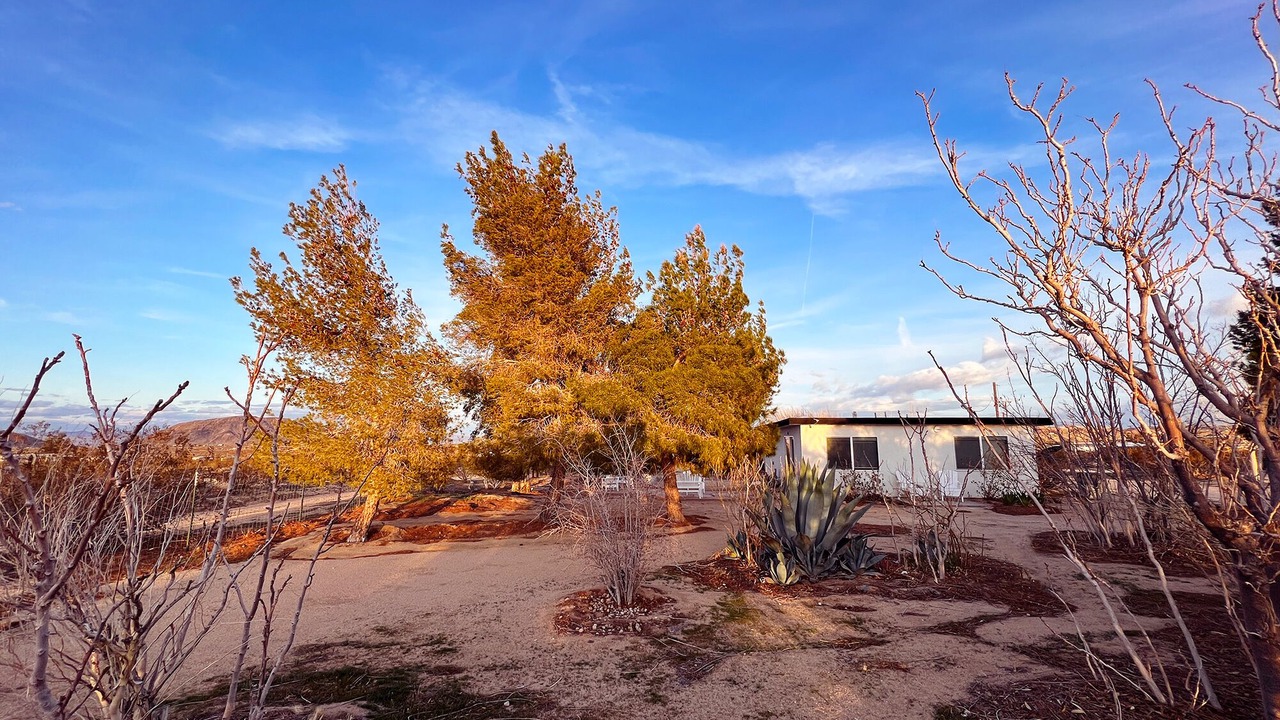 Photo of Outdoor in Landers