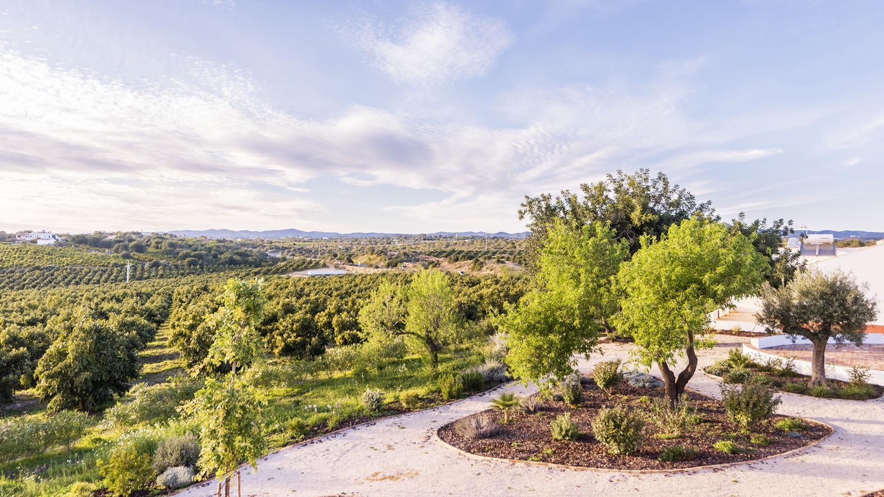 Photo of Outdoor in Tavira