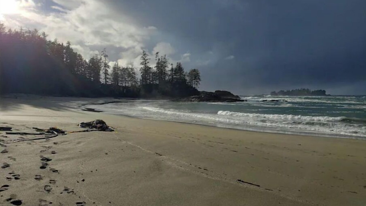 Photo of Others in Ucluelet
