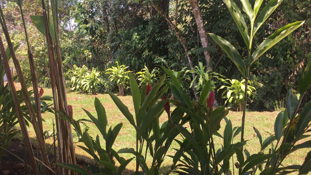 Photo of Outdoor in Ballena