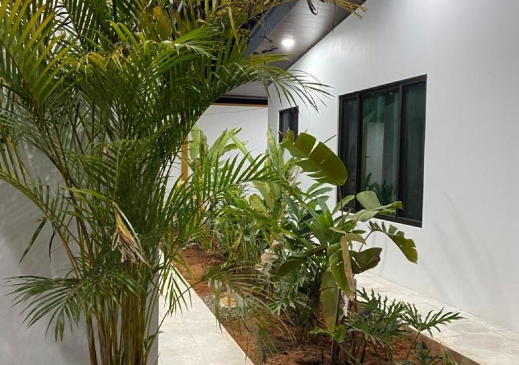 Photo of Outdoor in Ballena