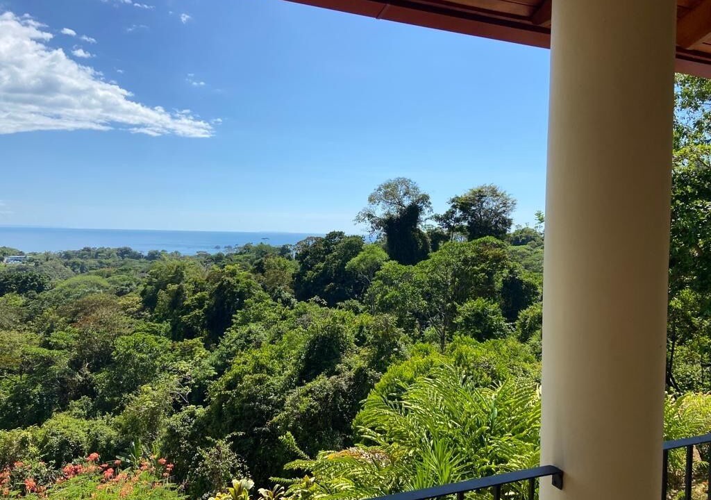 Photo of Outdoor in Ballena