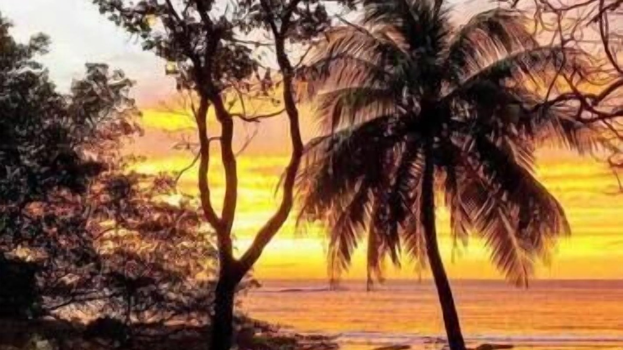 Photo of Others in Nosara