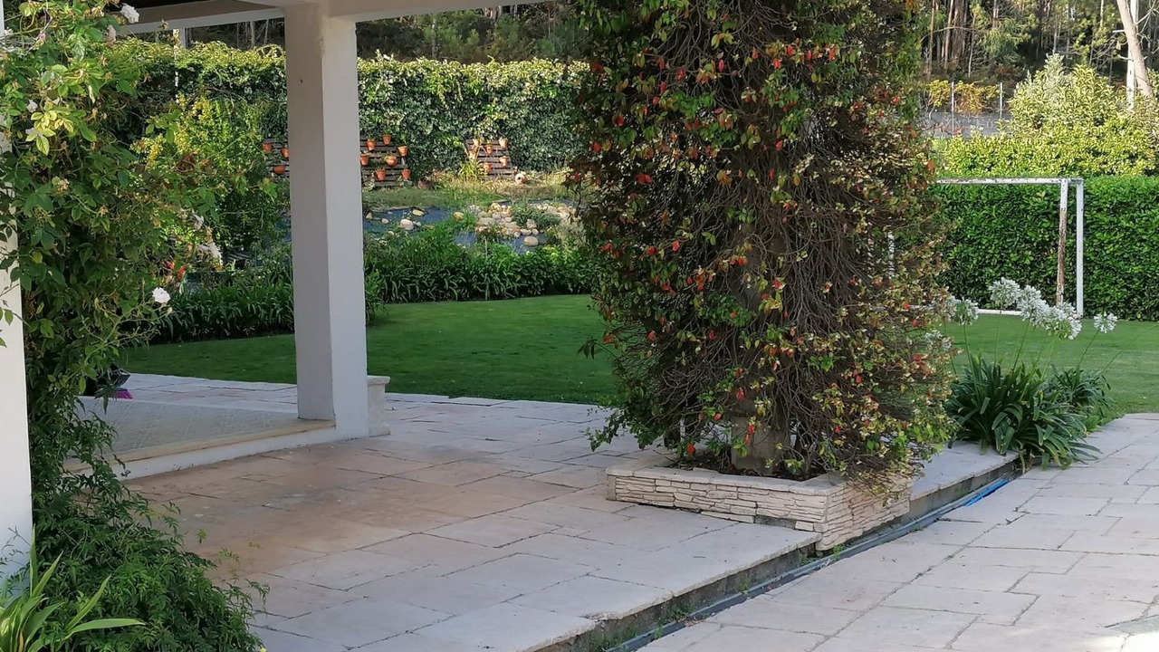 Photo of Outdoor in Coimbra