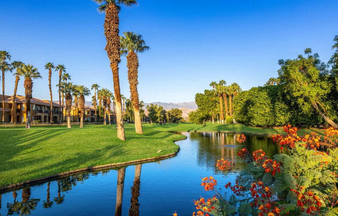 Photo of Outdoor in Palm Desert