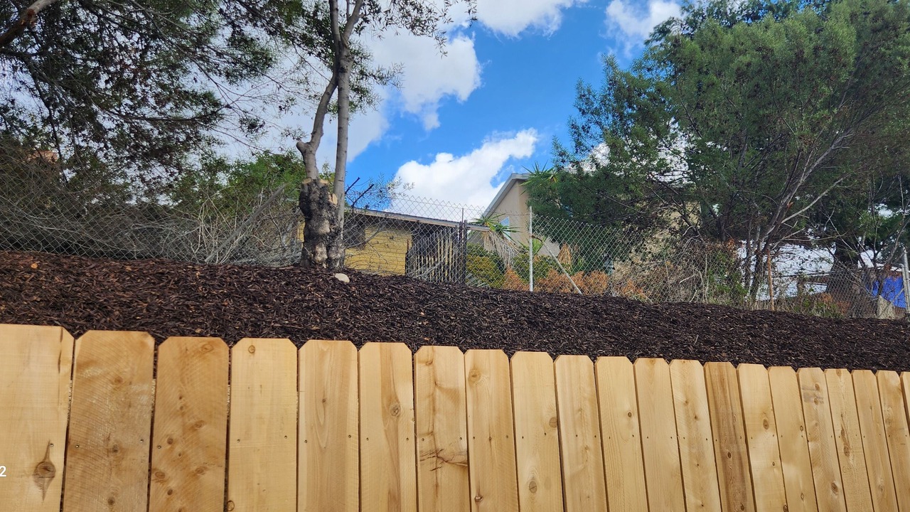Photo of Outdoor in Lemon Grove