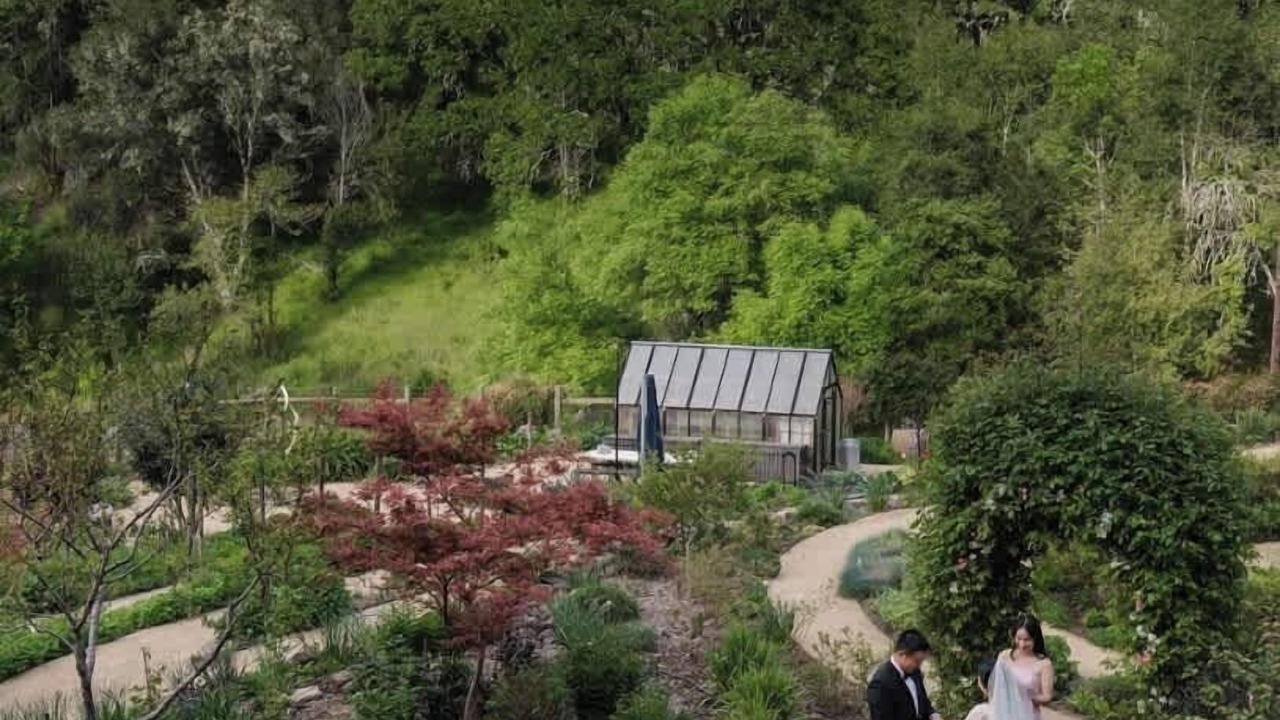 Photo of Outdoor in Healdsburg