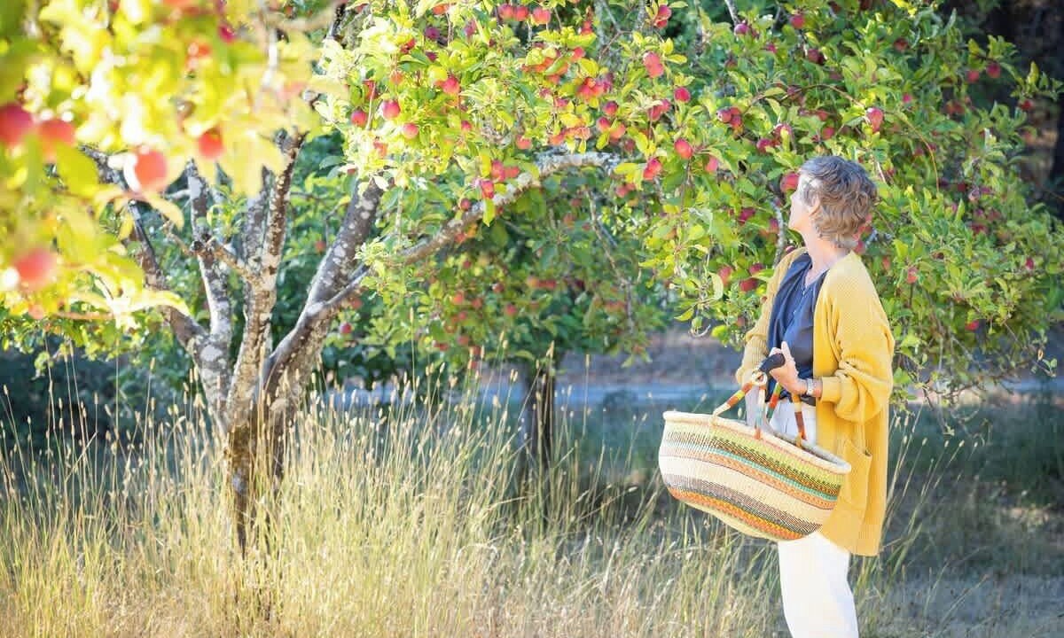 Photo of Others in Healdsburg