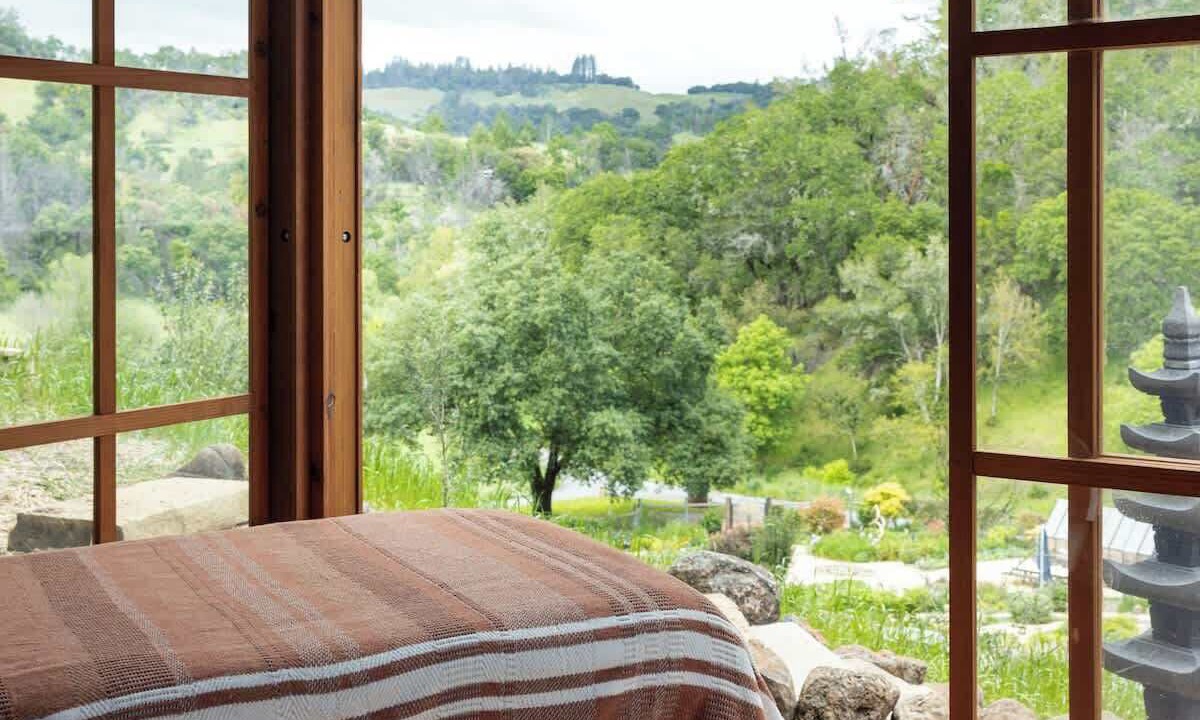 Photo of Outdoor in Healdsburg