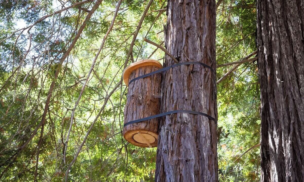 Photo of Others in Healdsburg