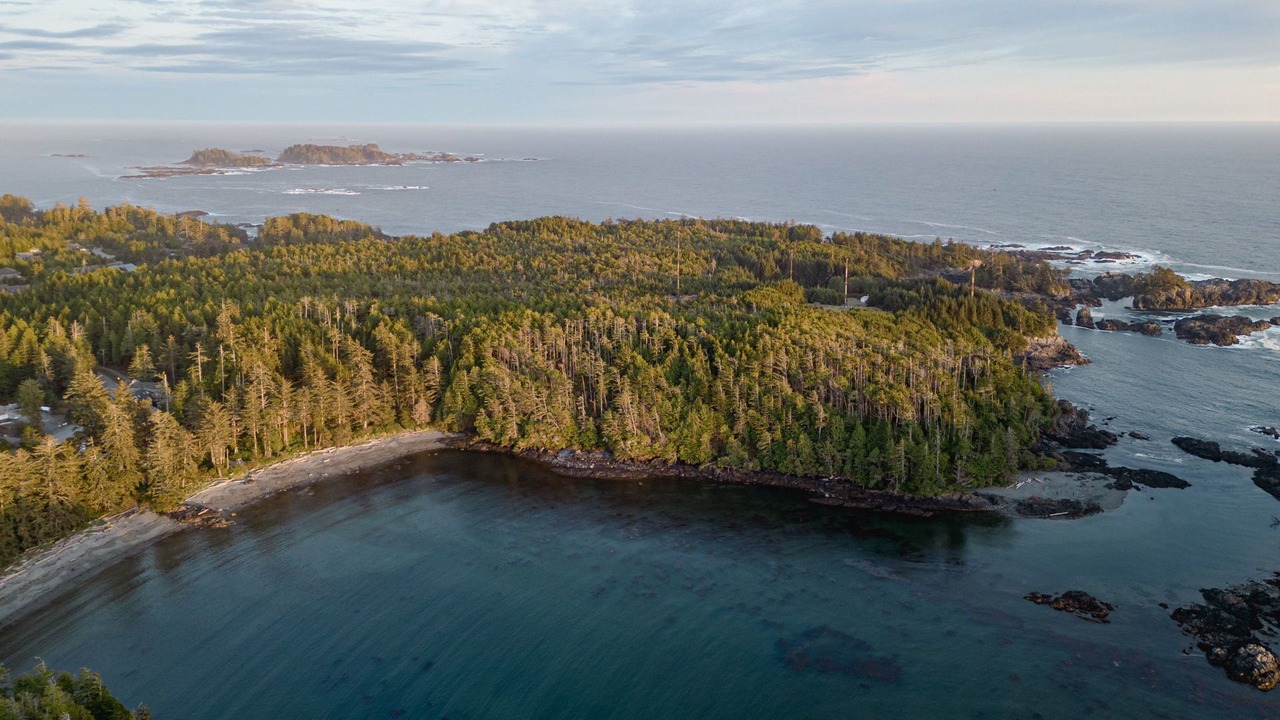 Photo of Outdoor in Ucluelet