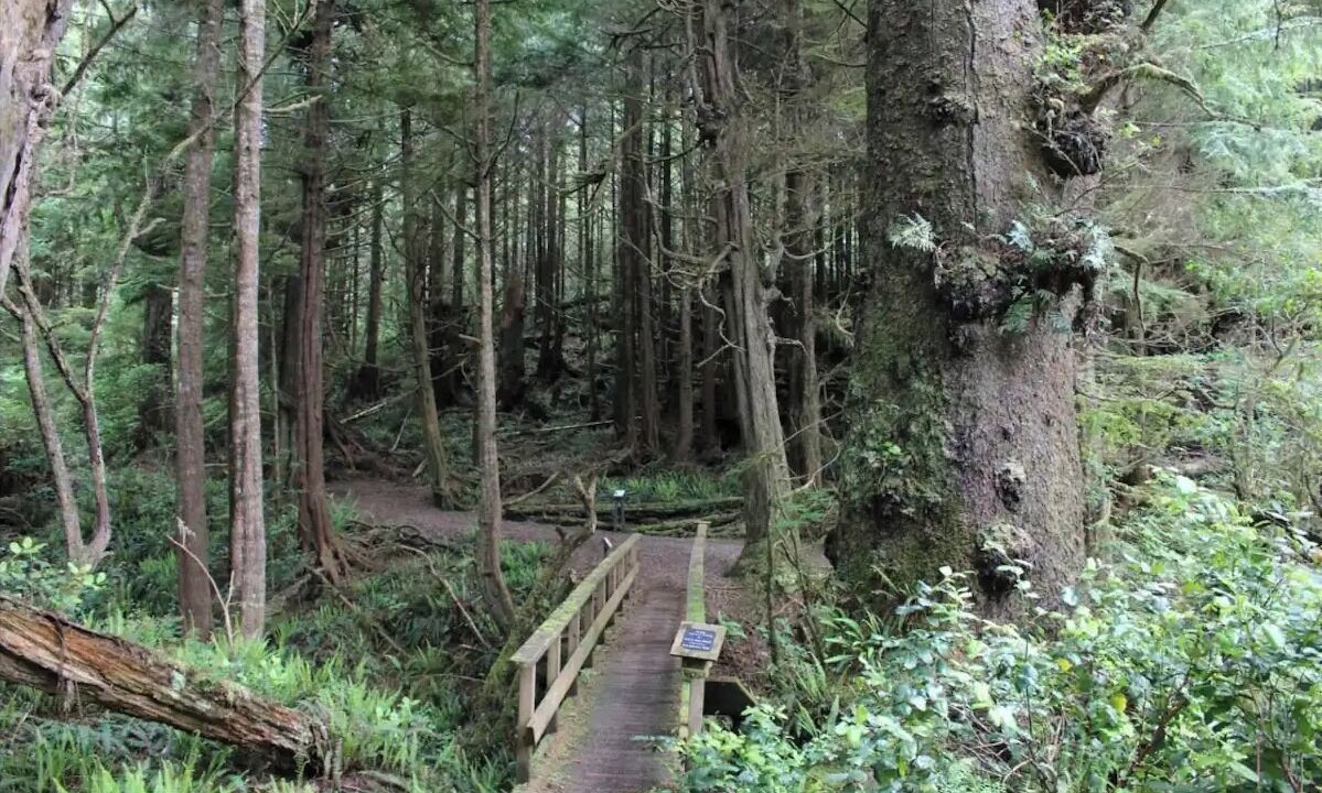 Photo of Outdoor in Ucluelet
