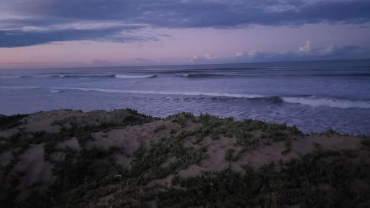 Photo of Others in Grover Beach