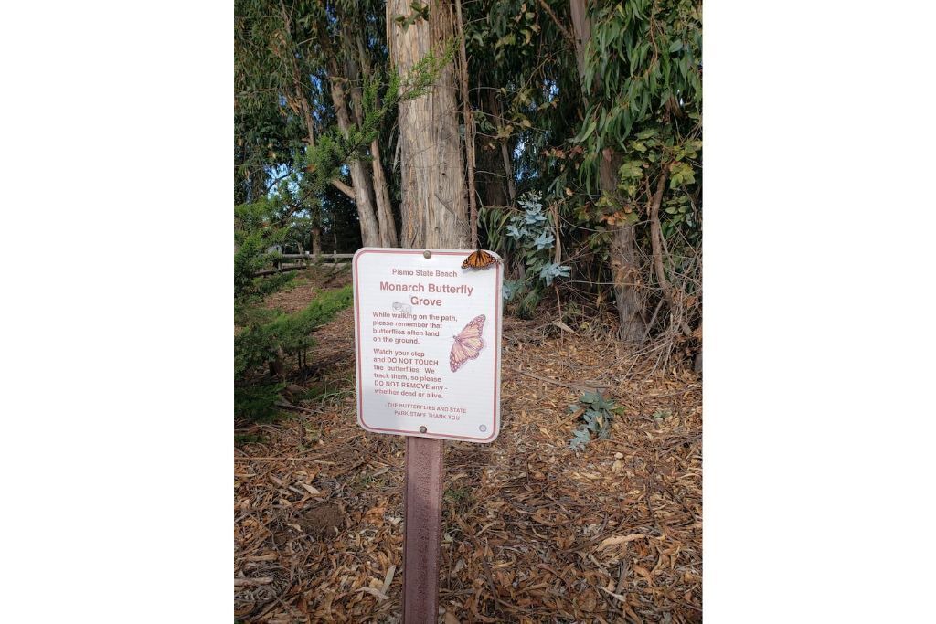 Photo of Outdoor in Grover Beach