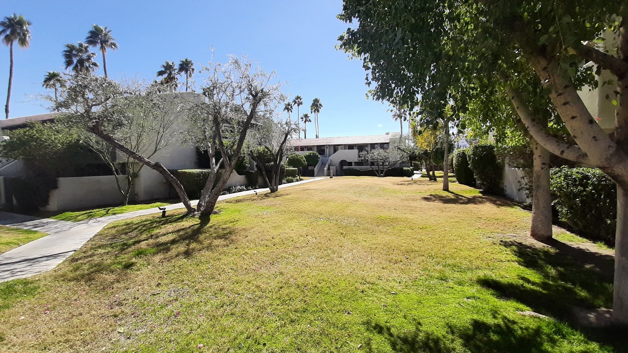 Photo of Outdoor in Palm Springs
