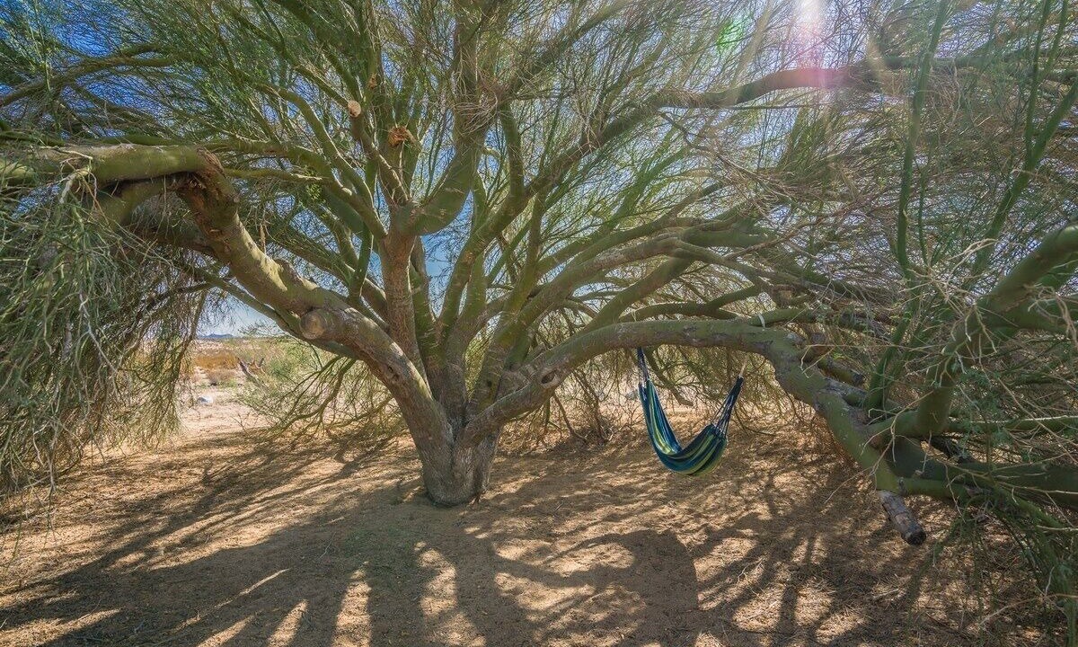 Photo of Others in Twentynine Palms