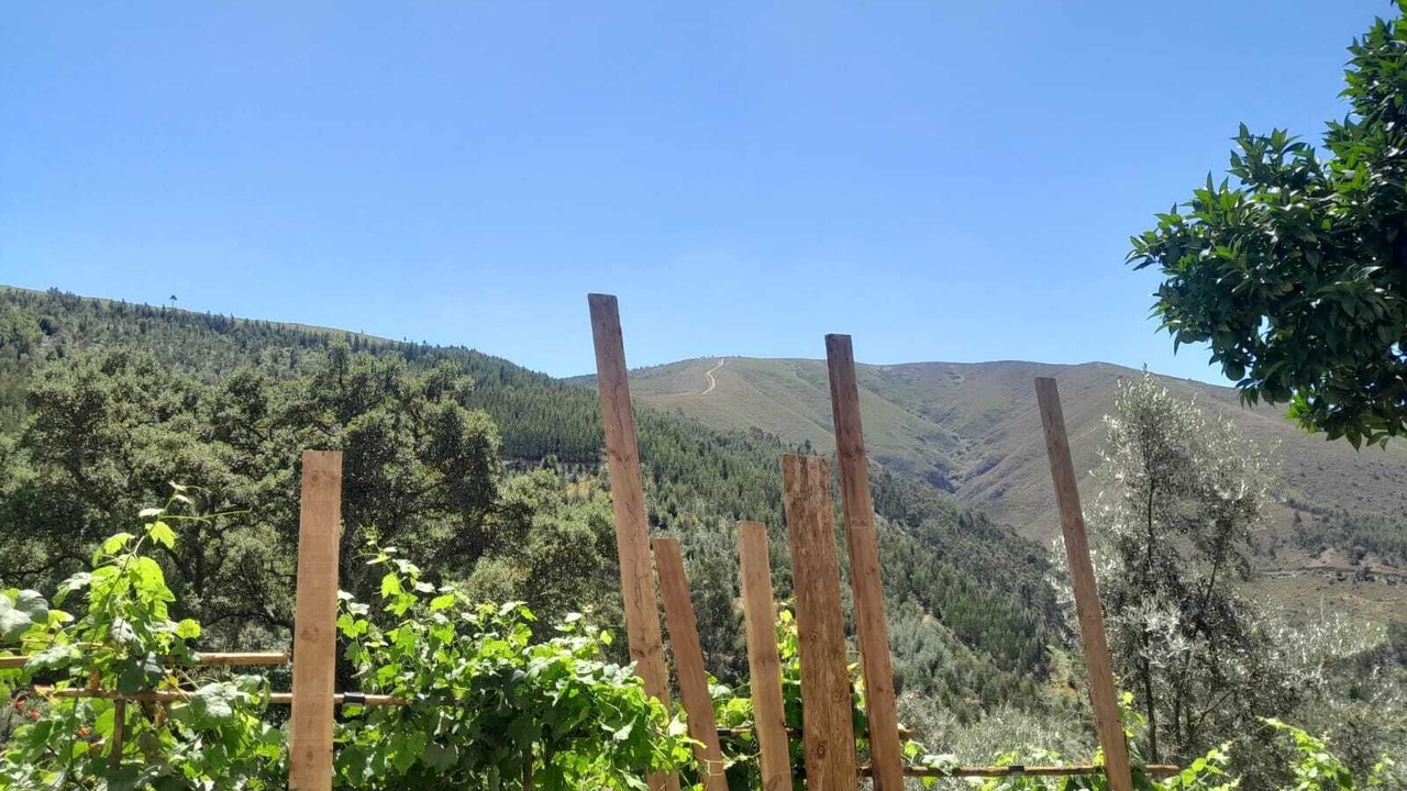 Photo of Outdoor in Arganil