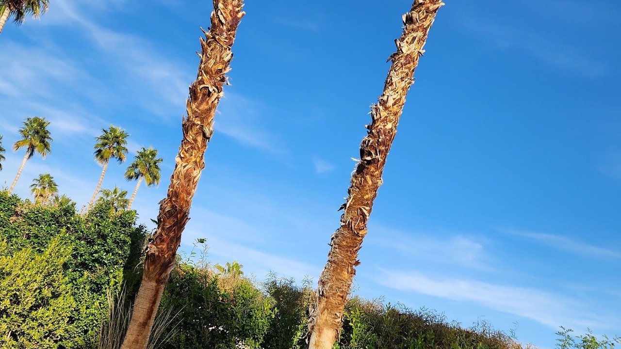 Photo of Outdoor in Palm Springs