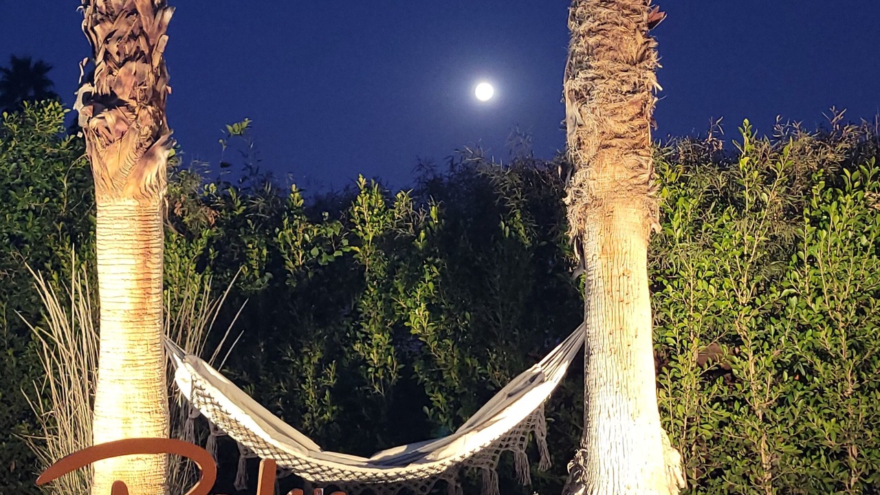 Photo of Outdoor in Palm Springs