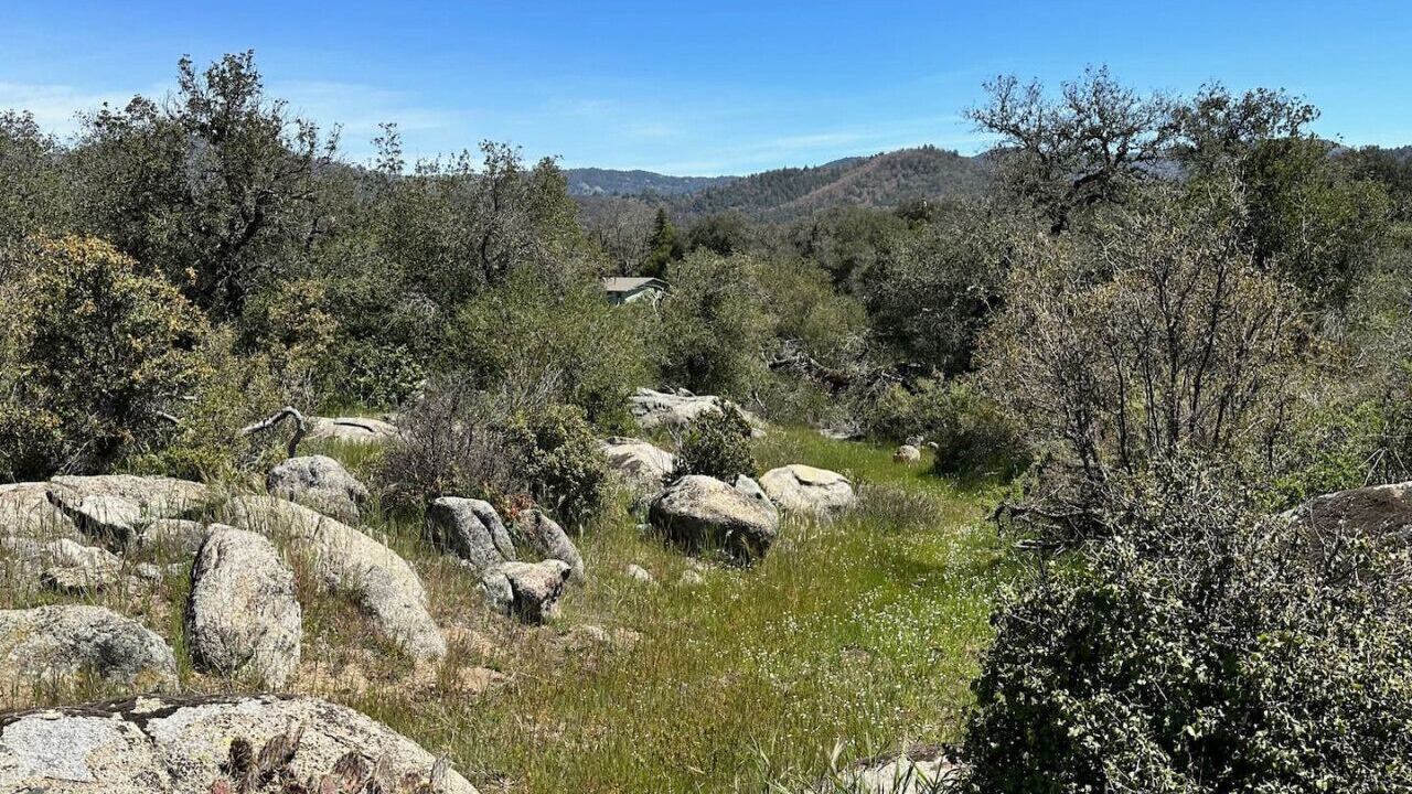 Photo of Outdoor in Santa Ysabel