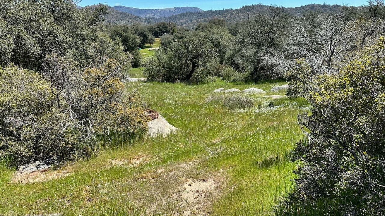 Photo of Others in Santa Ysabel