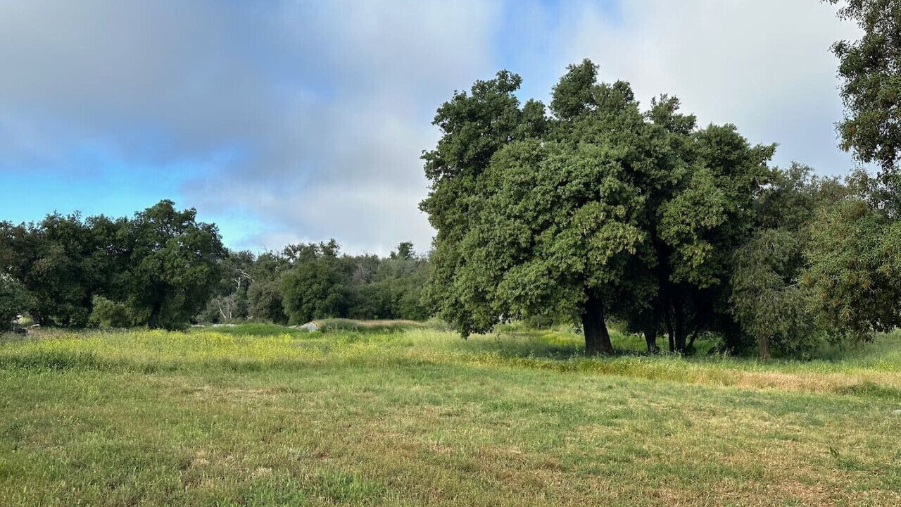 Photo of Others in Santa Ysabel