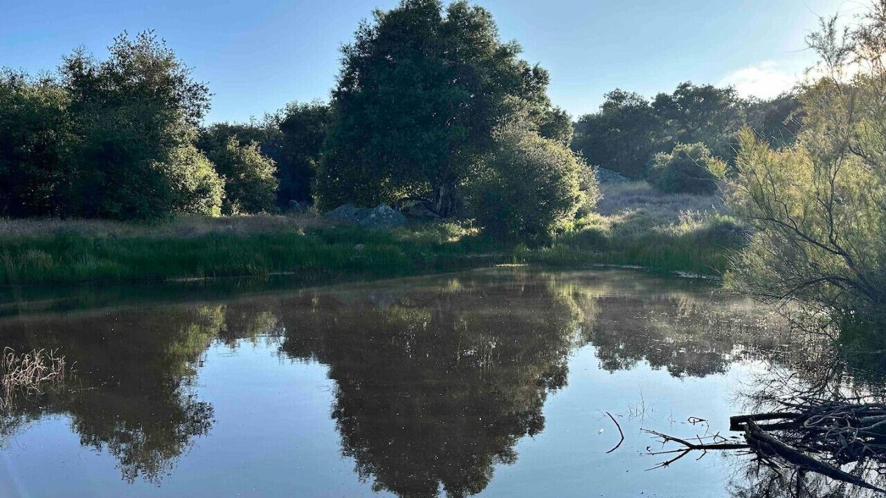 Photo of Others in Santa Ysabel