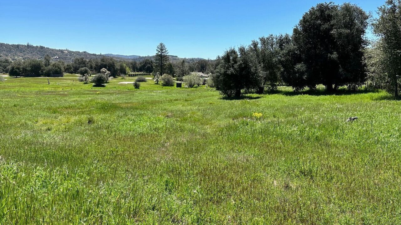Photo of Others in Santa Ysabel