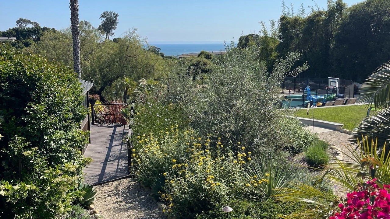 Photo of Outdoor in Eucalyptus Hill