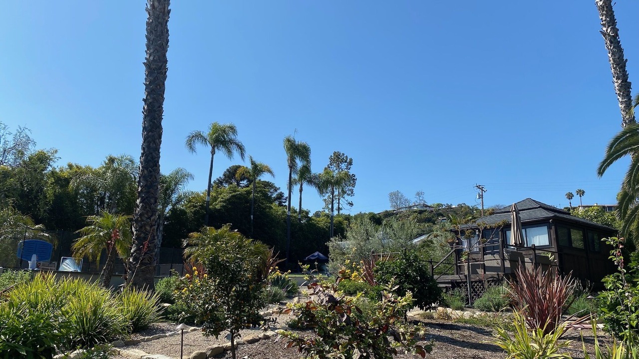 Photo of Others in Eucalyptus Hill