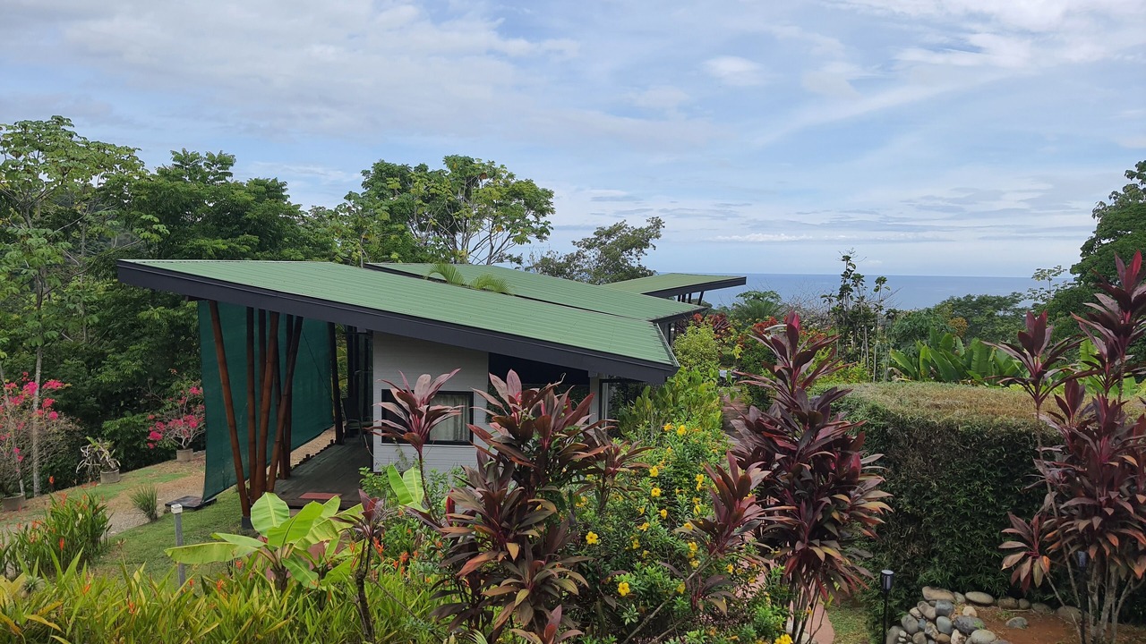 Photo of Outdoor in Ballena