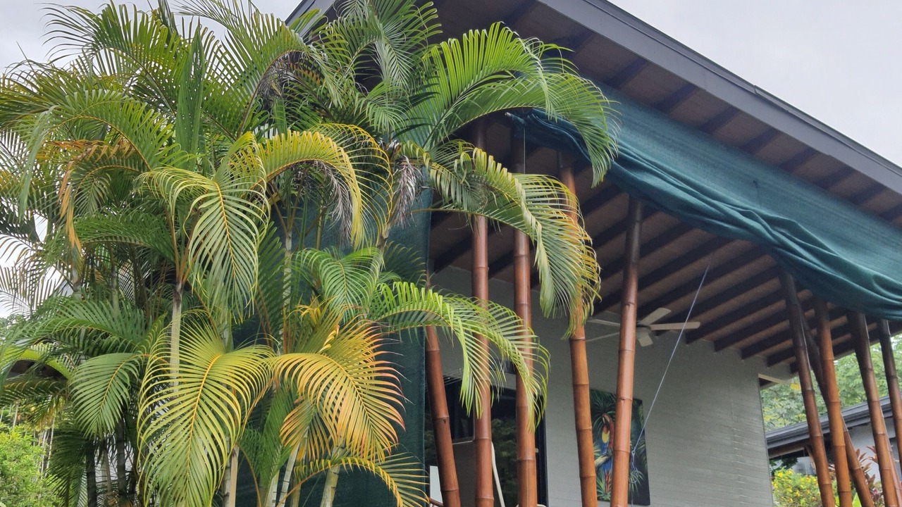 Photo of Outdoor in Ballena