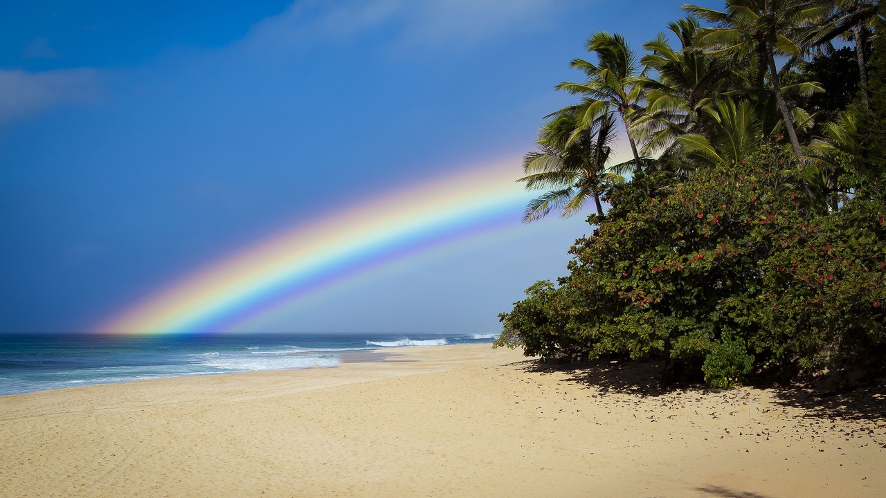Photo of Others in Waialua
