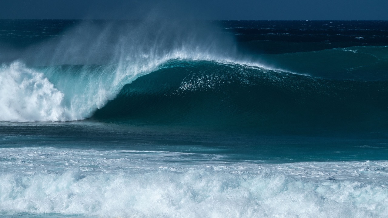 Photo of Others in Waialua