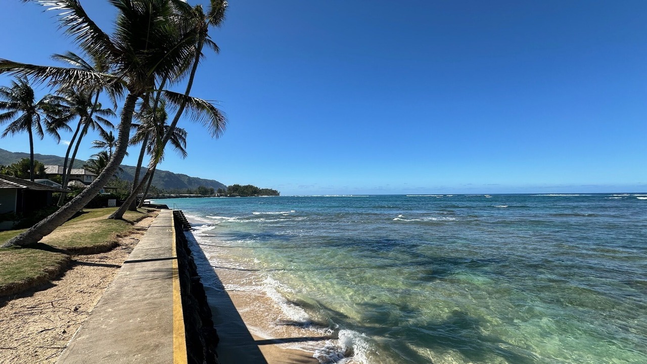 Photo of Others in Waialua