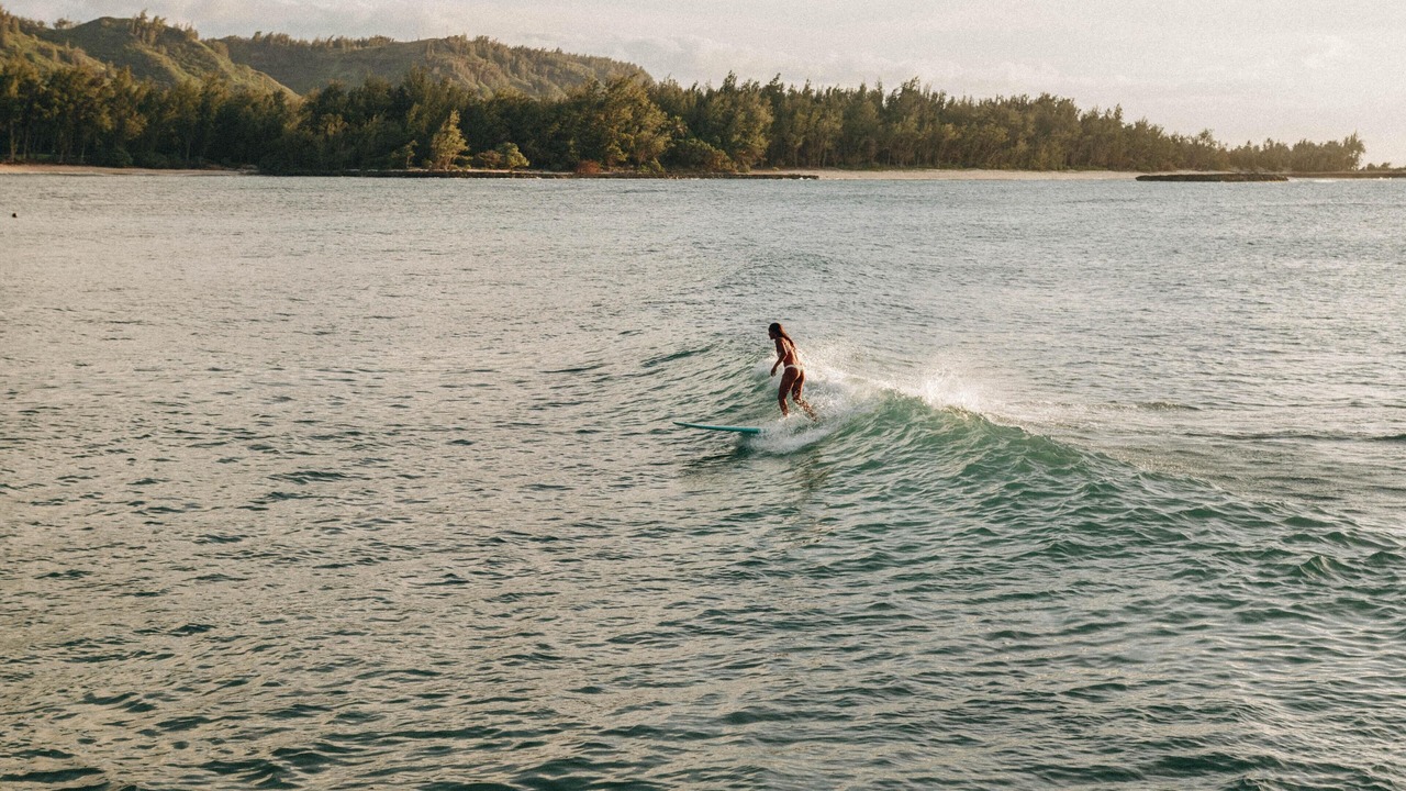 Photo of Others in Waialua