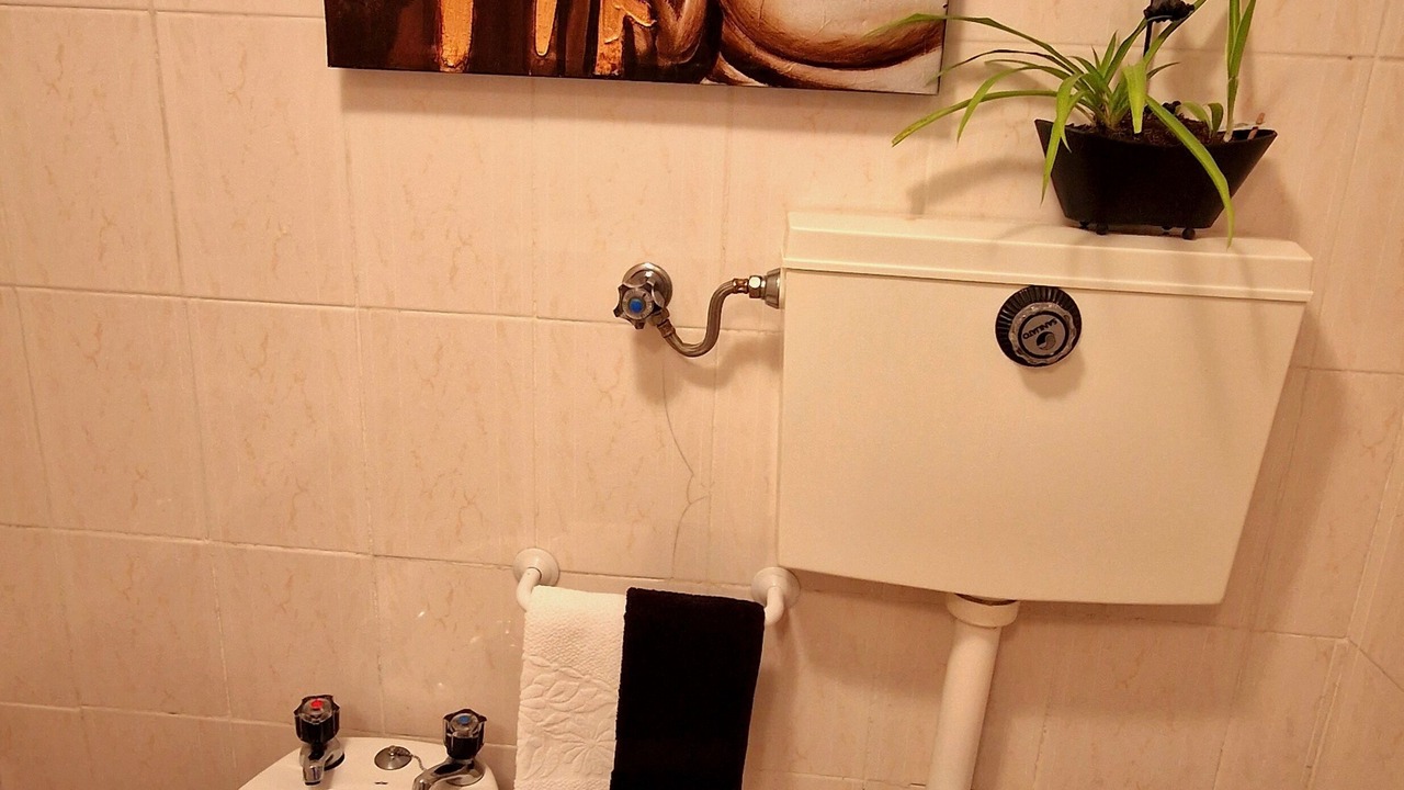 Photo of Bathroom in Sernancelhe