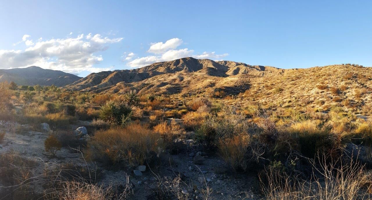 Photo of Outdoor in Morongo Valley