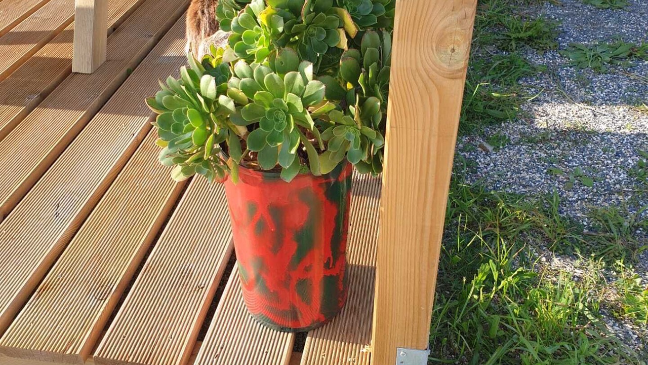 Photo of Outdoor in Odemira