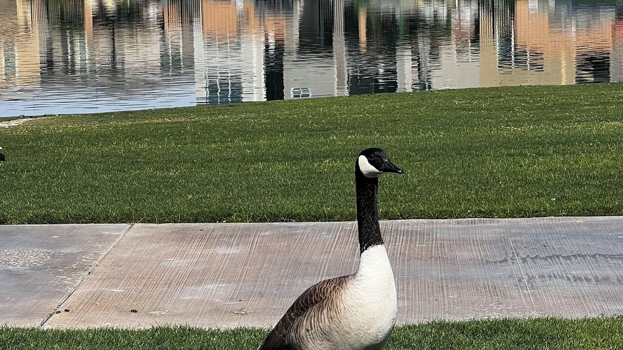 Photo of Outdoor in Terra Lago