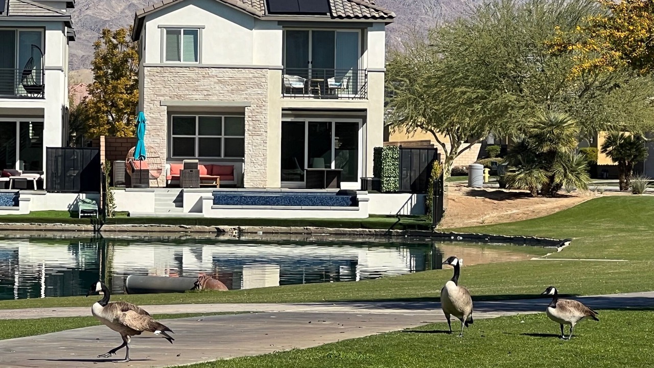 Photo of Others in Terra Lago