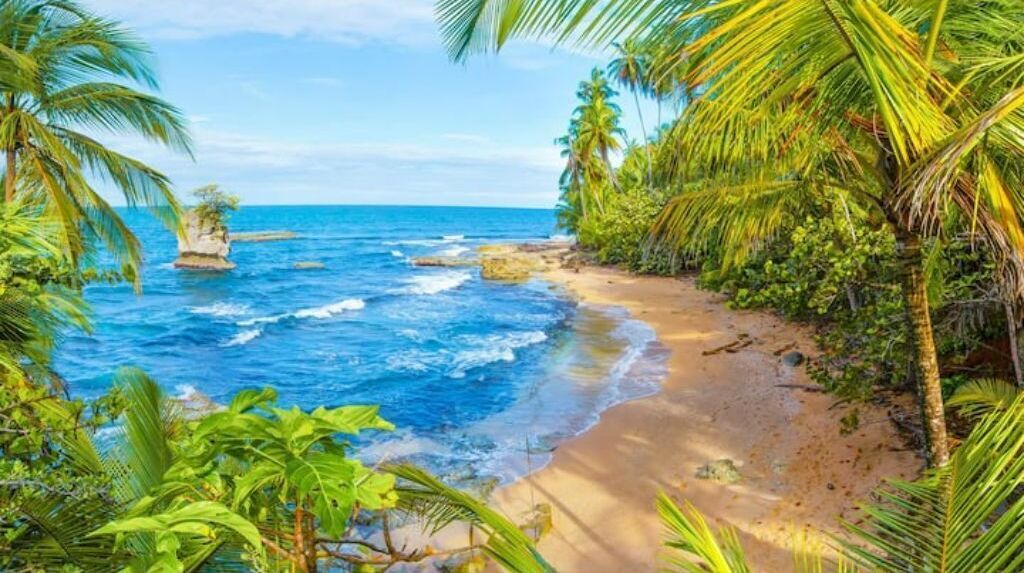 Photo of Others in Manzanillo