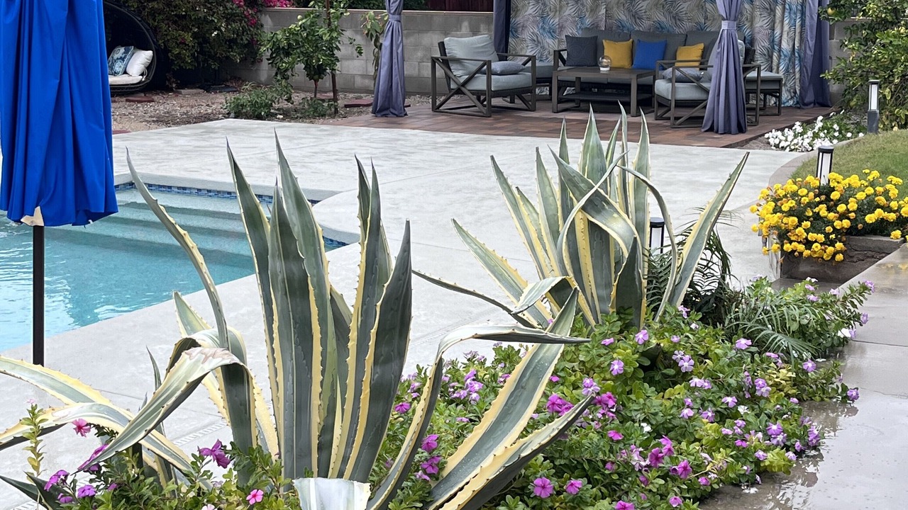 Photo of Outdoor in Palm Desert